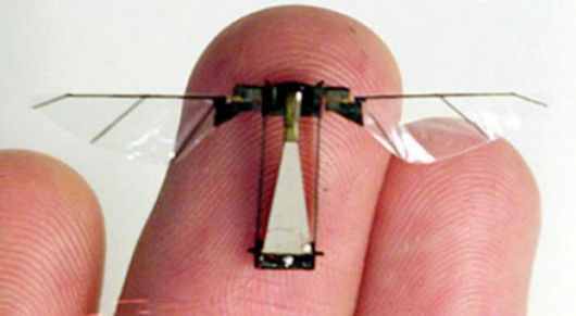 Crean una mosca robot para espiar