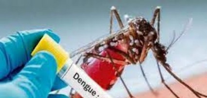 <p>Ocho casos autóctonos de dengue</p>
