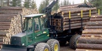 806 pymes forestoindustriales generan más de 9.300 empleos directos