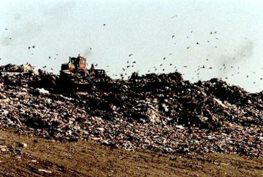 La Justicia prohibió al Municipio del Paso arrojar basura a cielo abierto