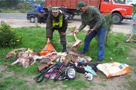 Correntinos, principales infractores en pesca y caza ilegal