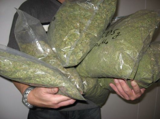 Incautan 205 kilos de marihuana