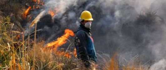El incendio forestal arrasó 40 mil hectáreas