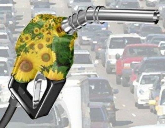 Diputados aprobó la ley de biocombustibles