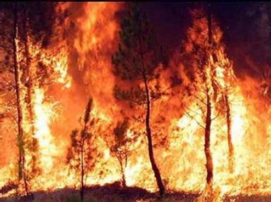 Sigue la alerta por incendios forestales