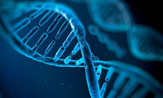 Test de ADN para diagnosticar cáncer de colon