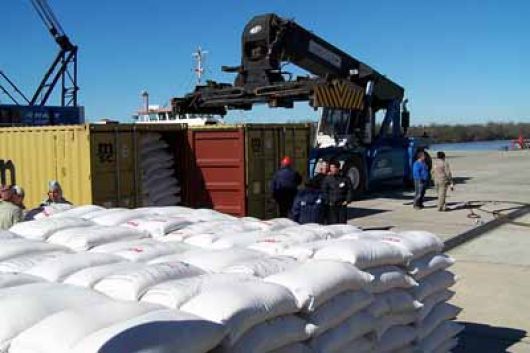 Corrientes podría exportar arroz y madera