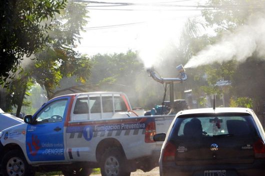 Confirman 31 casos de dengue en Corrientes
