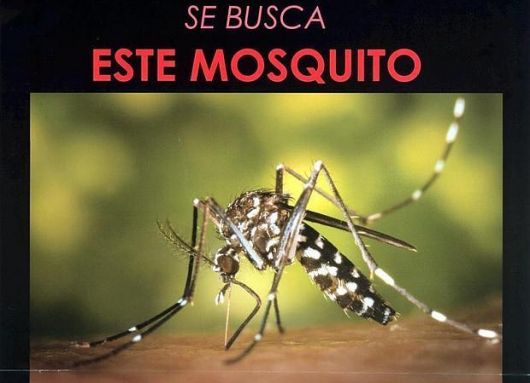 Desde Mercedes advierten del segundo caso de zika 