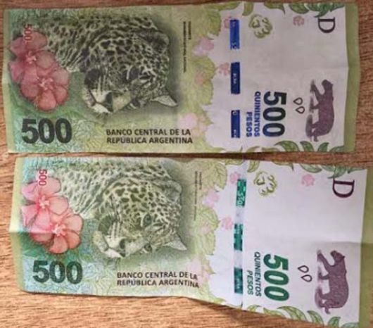 Gato por yaguareté: ya aparecieron los primeros billetes de $500 falsos