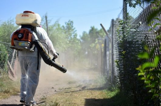 Seis nuevos casos de Dengue en Corrientes