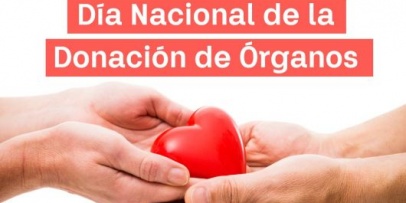Día Nacional de la Donación de Órganos: más de 7 millones de p esperan por un trasplante 