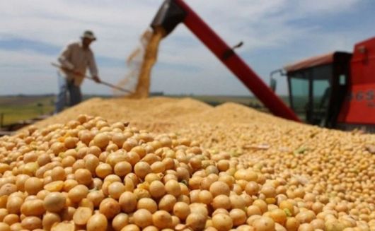 Dólar récord: Ahora el Gobierno apuesta a las cerealeras para ponerle freno 