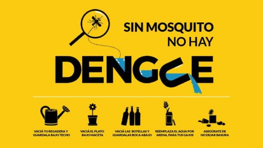 El  "dengue, la epidemia silenciosa que convive con COVID-19 
